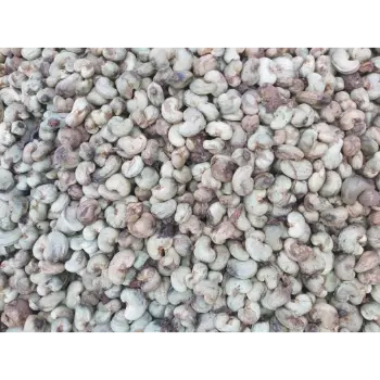 Natural Raw Cashew Nuts
